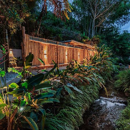סאלנטו Ecohotel Piedemonte מראה חיצוני תמונה